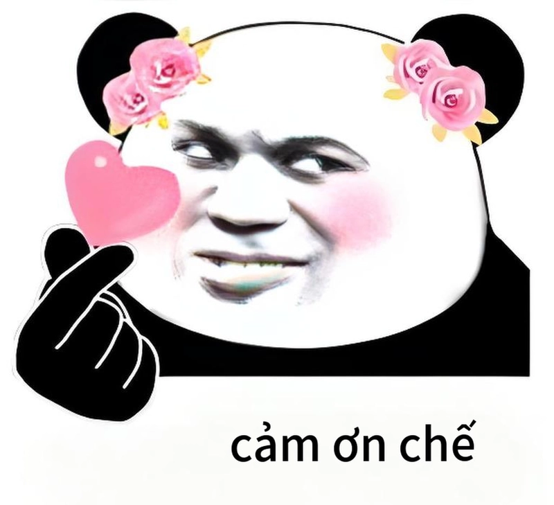 Meme gấu trúc đa tạ bá đạo cười rụng rốn