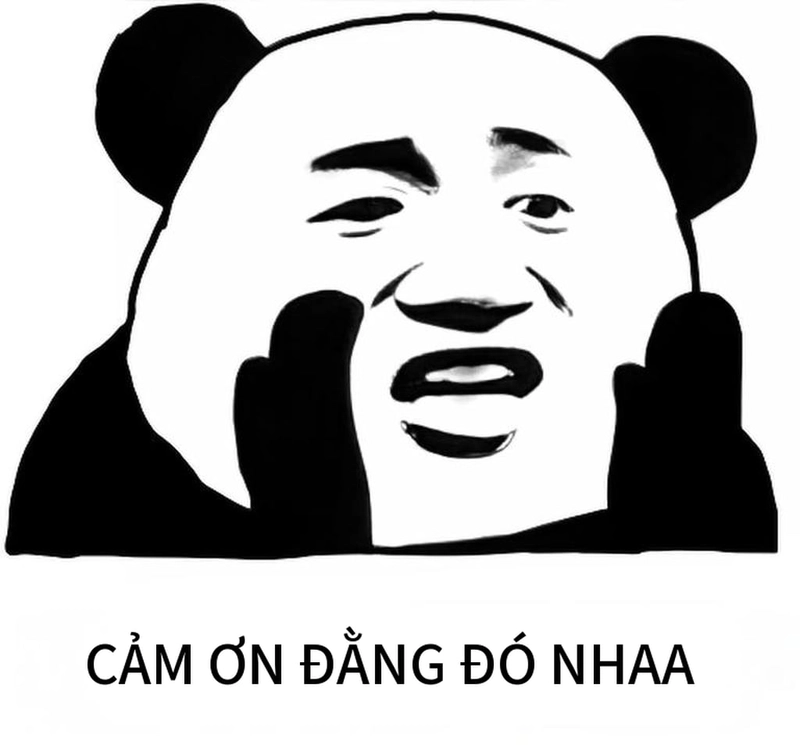 Meme gấu trúc đa tạ bá đạo