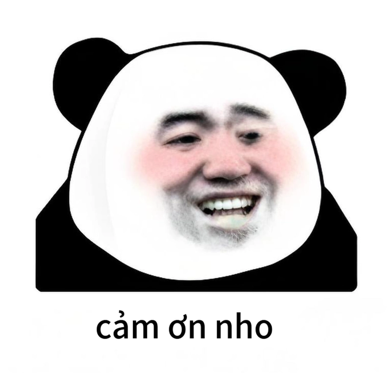 Meme gấu trúc đa tạ cười ngất