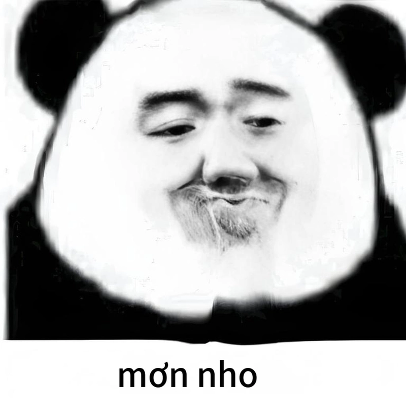 Meme gấu trúc đa tạ dễ thương