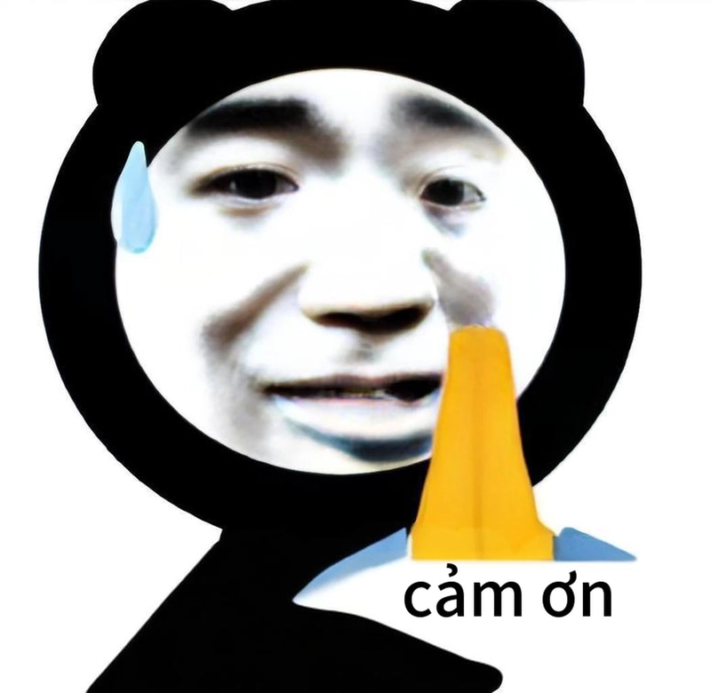 Meme gấu trúc đa tạ lan truyền