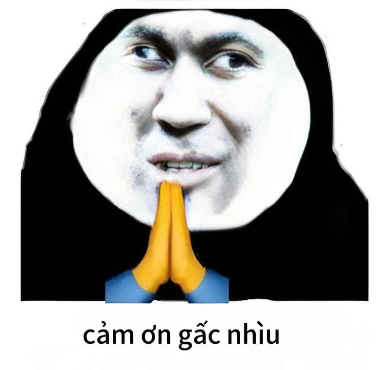 Meme gấu trúc đa tạ phiên bản hài