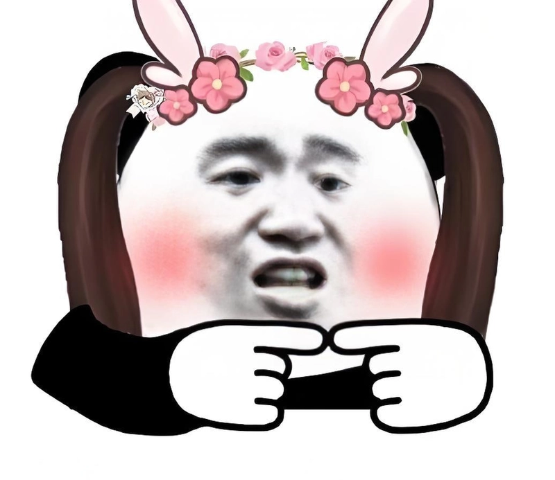 Meme gấu trúc slay chất lừ