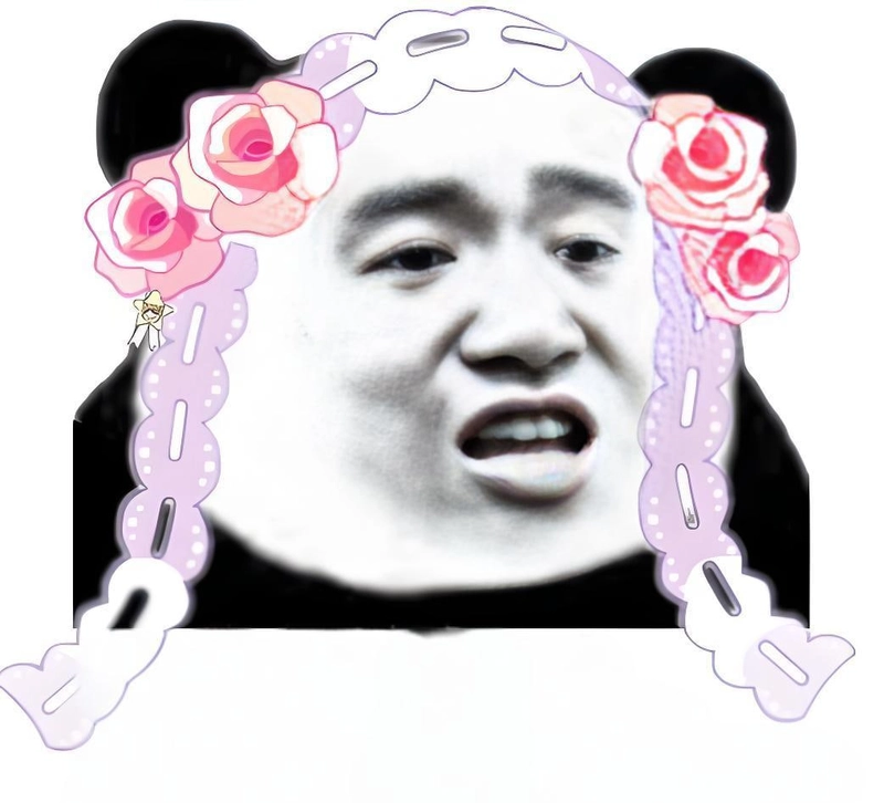 Meme gấu trúc slay cực hot