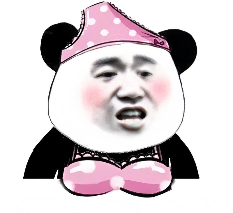 Meme gấu trúc slay độc lạ