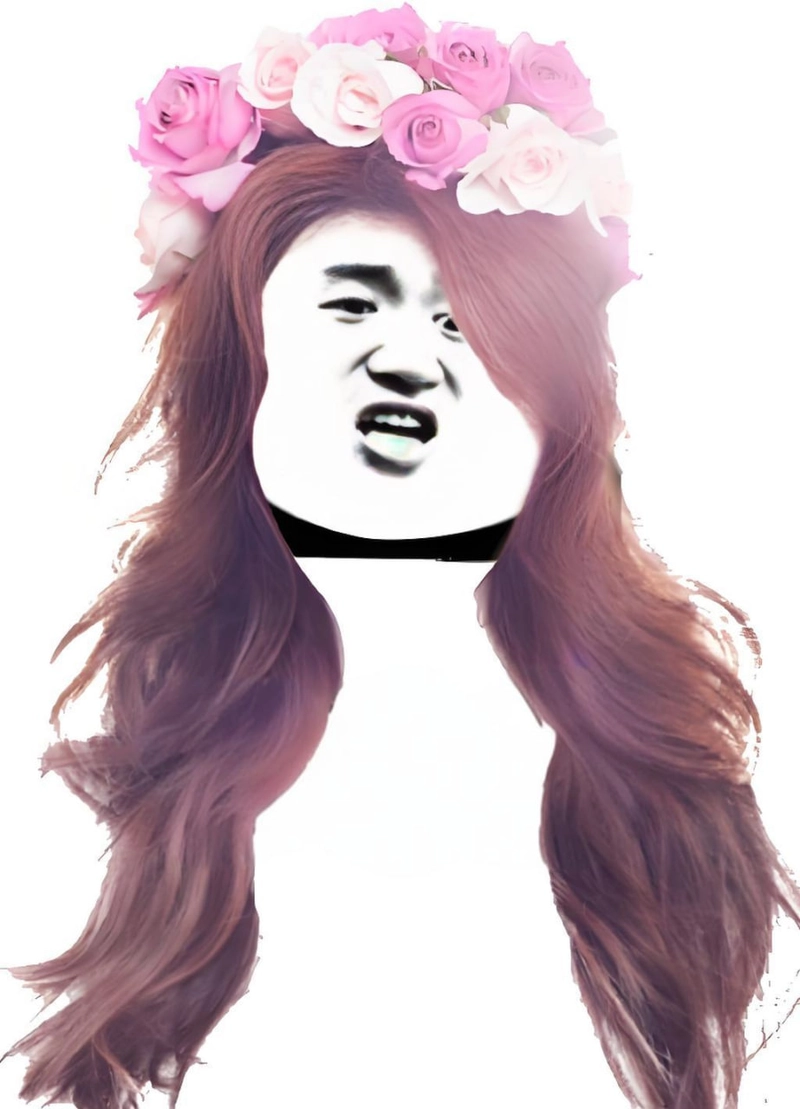 Meme gấu trúc slay hài hước