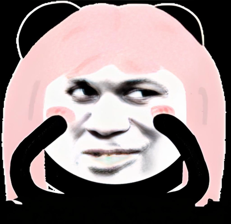 Meme gấu trúc slay hot trend