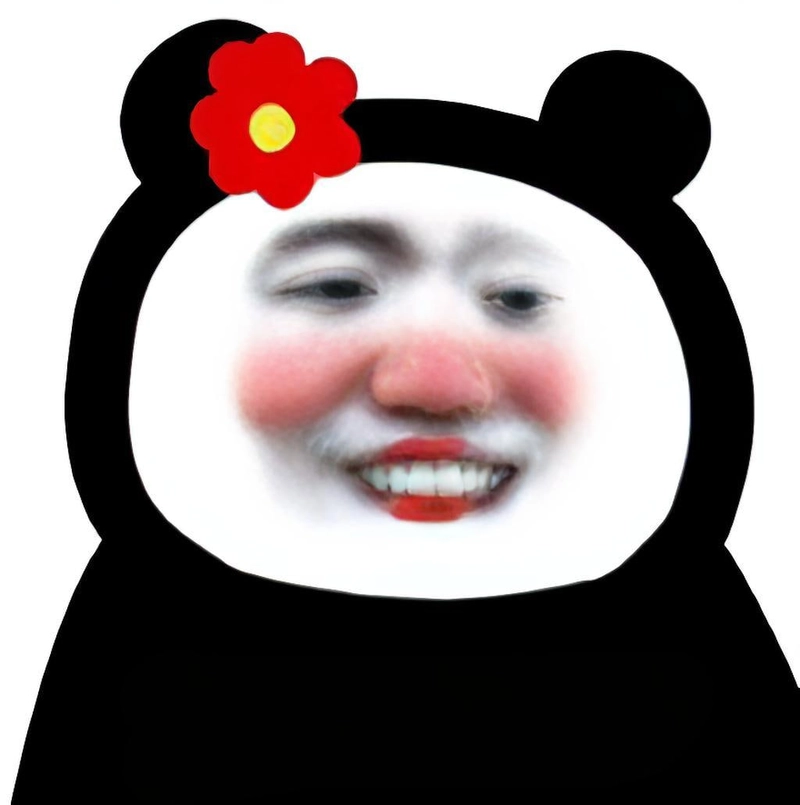 Meme gấu trúc slay mới nhất