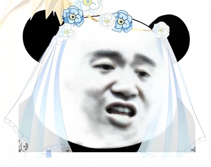 Meme gấu trúc slay thần thái