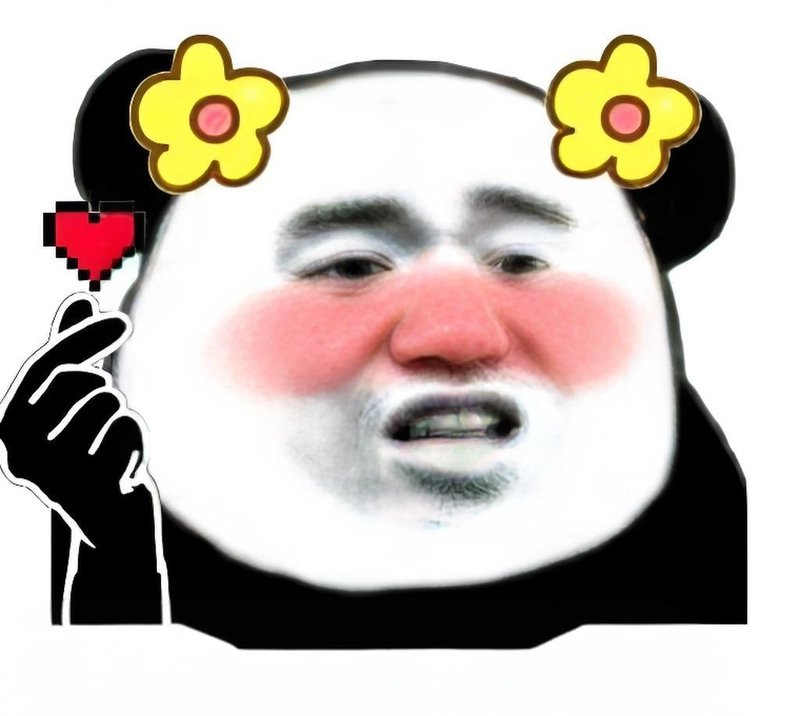 Meme gấu trúc slay trending