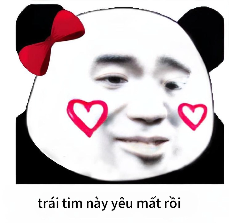 Meme gấu trúc thả tim chế hài