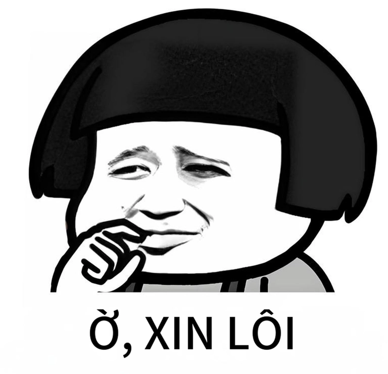 Meme gấu trúc xin lỗi bá đạo