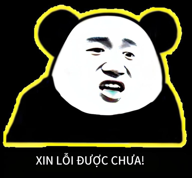 Meme gấu trúc xin lỗi dễ thương