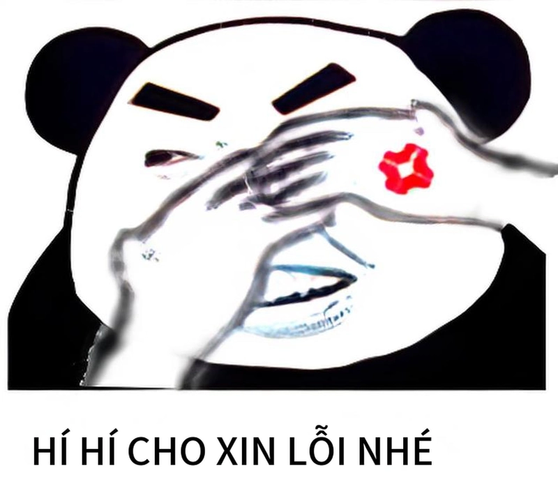 Meme gấu trúc xin lỗi troll vui