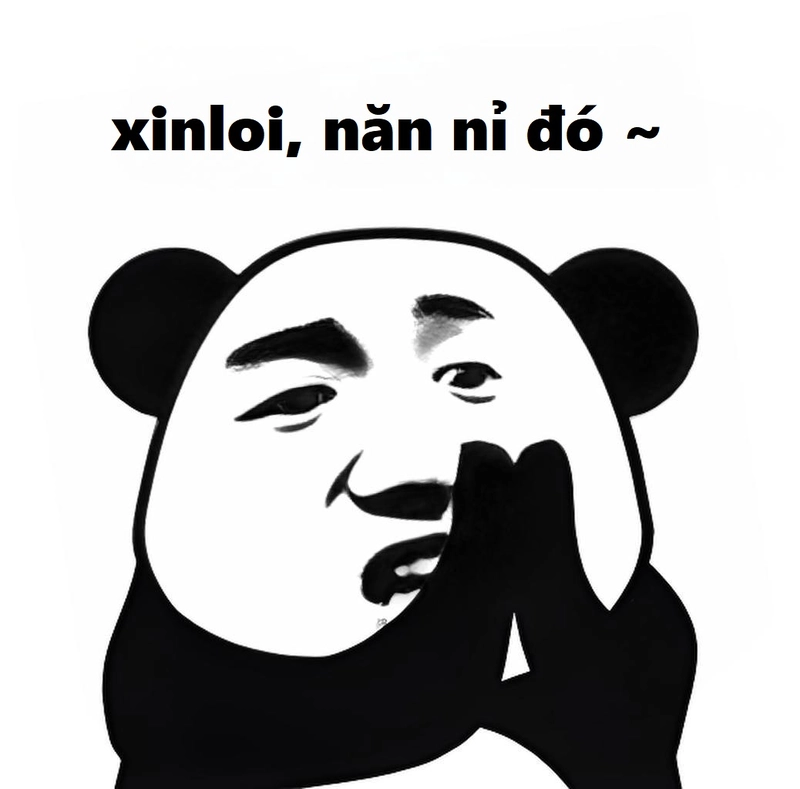 Meme gấu trúc xin lỗi vui nhộn