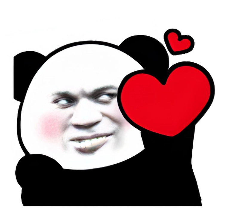 Meme gấu trúc yêu dễ thương