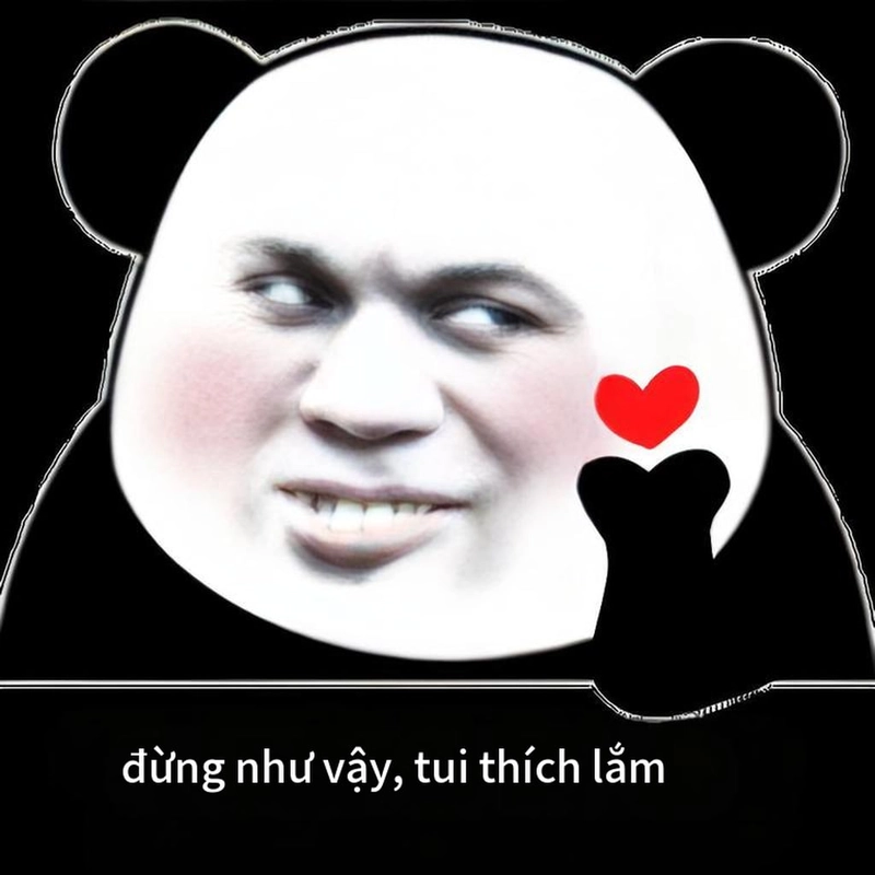 Meme hài gấu trúc chế hài