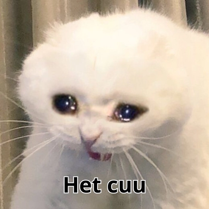Meme hết cứu nổi cực vui