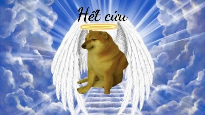 Meme hết cứu nổi khiến bạn bật cười
