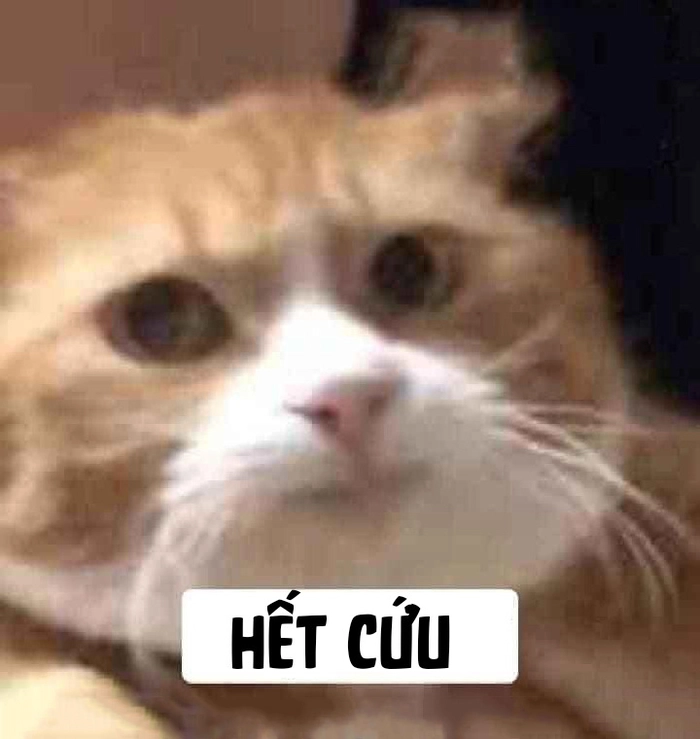 Meme hết cứu troll bạn bè