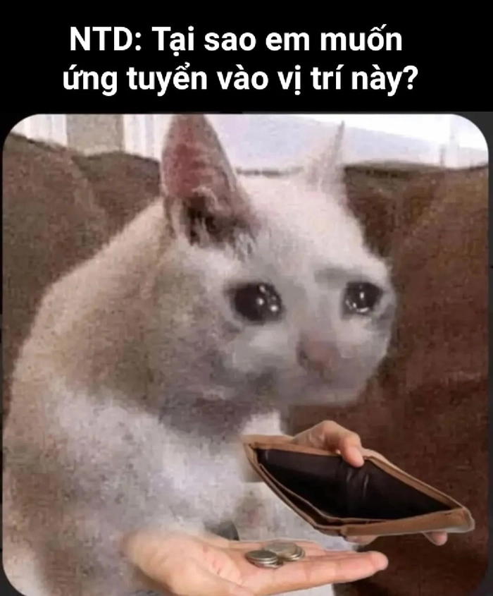 Meme hết tiền hài hước