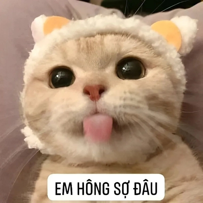 Meme không sợ hài hước