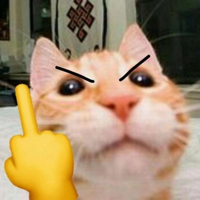 Meme ngón giữa hài hước nhất