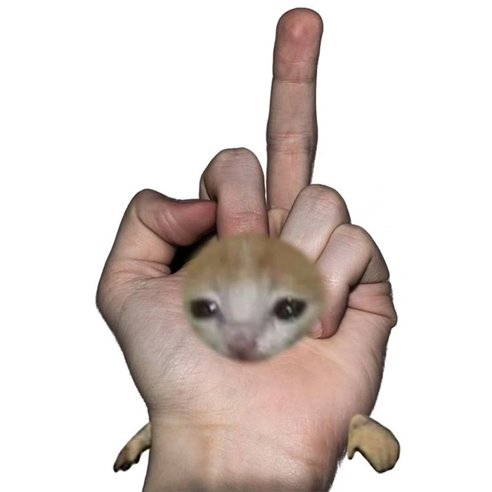 Meme ngón giữa hài khó đỡ