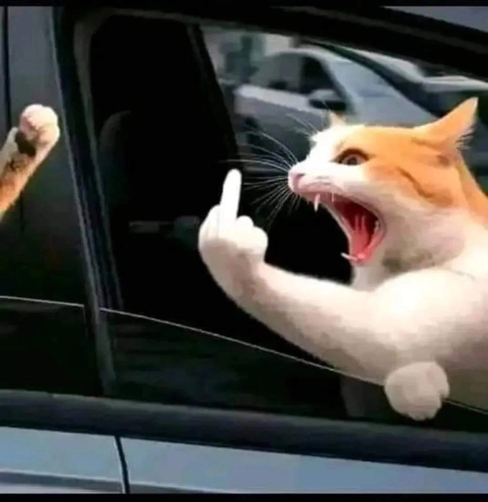 Meme ngón tay giữa cực bá đạo