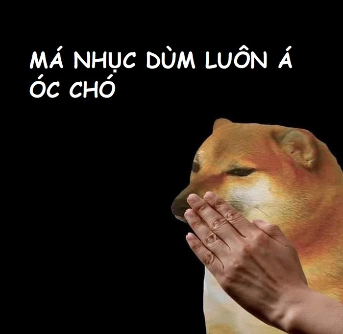 Meme óc chó chế bựa
