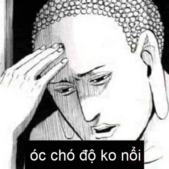 Meme óc chó chế hài