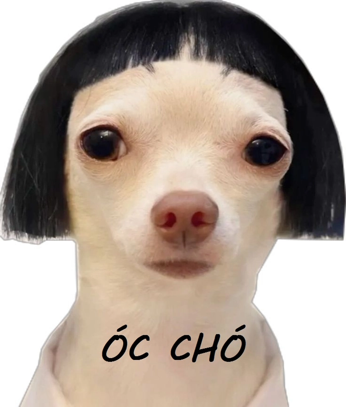 Meme óc chó lầy lội