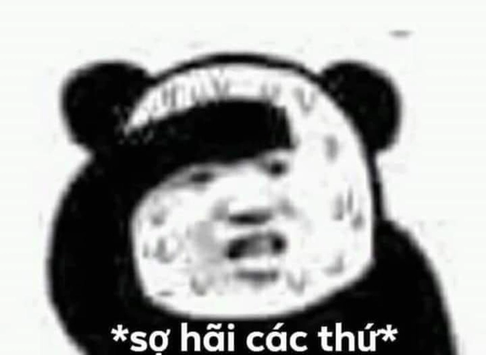 Meme sợ hãi các thứ chất lừ