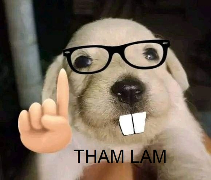 Meme tham lam gif châm biếm hài