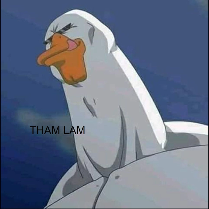Meme tham lam gif troll bá đạo