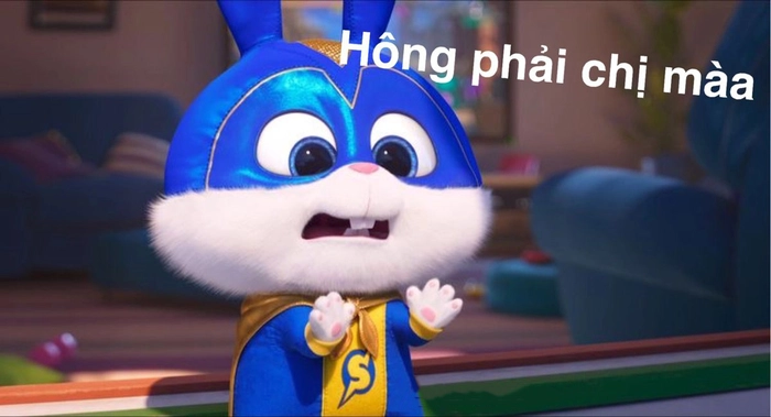 Meme thỏ Snowball chế hài hước