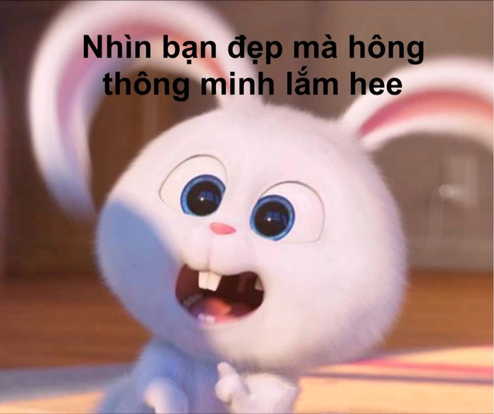 Meme thỏ Snowball dễ thương bá đạo