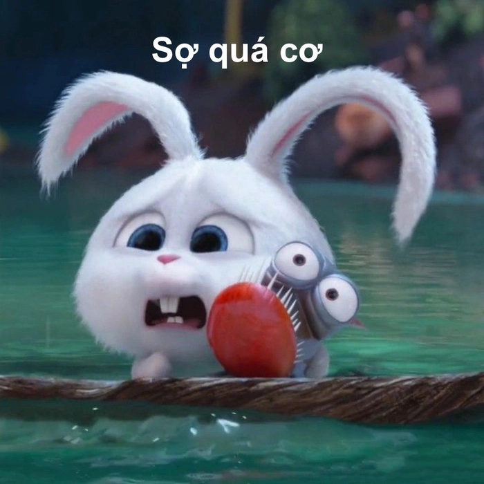Meme thỏ Snowball dễ thương hài hước