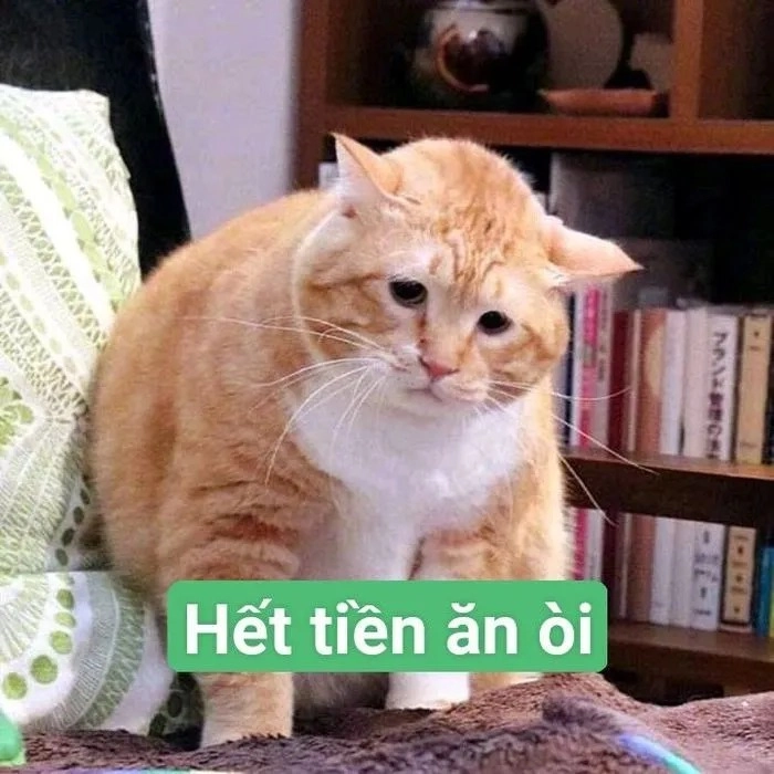 Meme tiền đâu bá đạo mạng xã hội