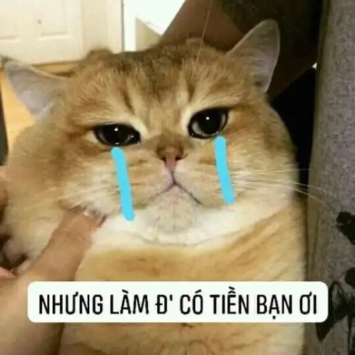 Meme tiền đâu cực vui