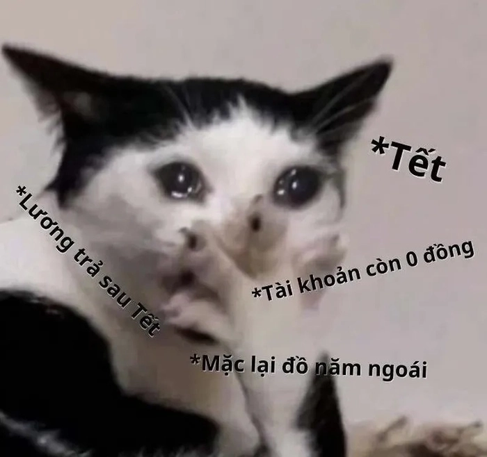 Meme ví hết tiền lầy lội