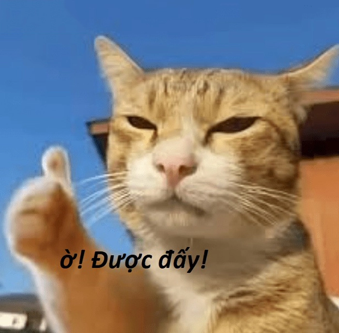 Ngầu meme bá đạo hài hước