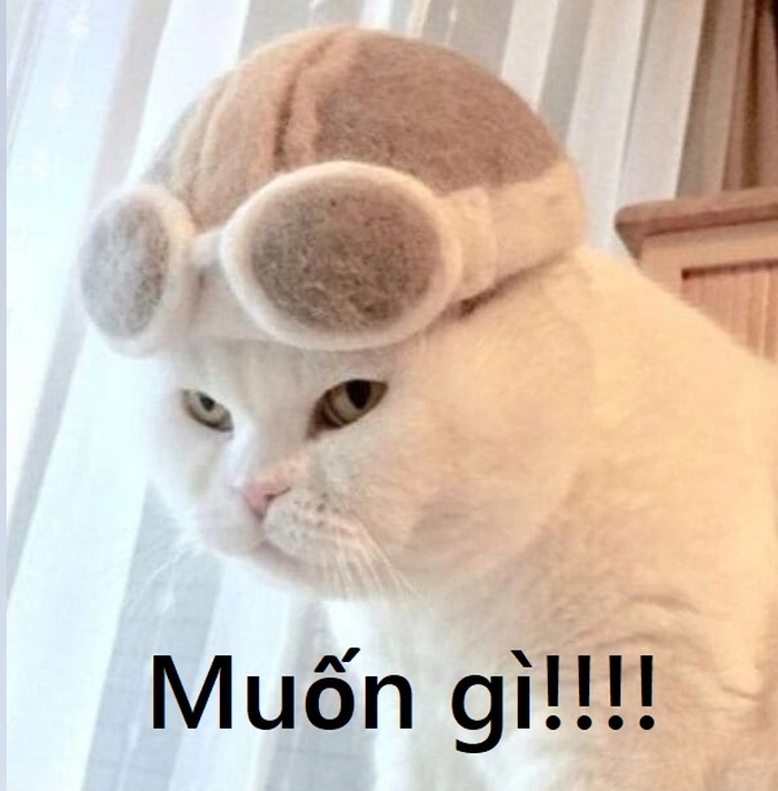 Ngầu meme chế bá đạo