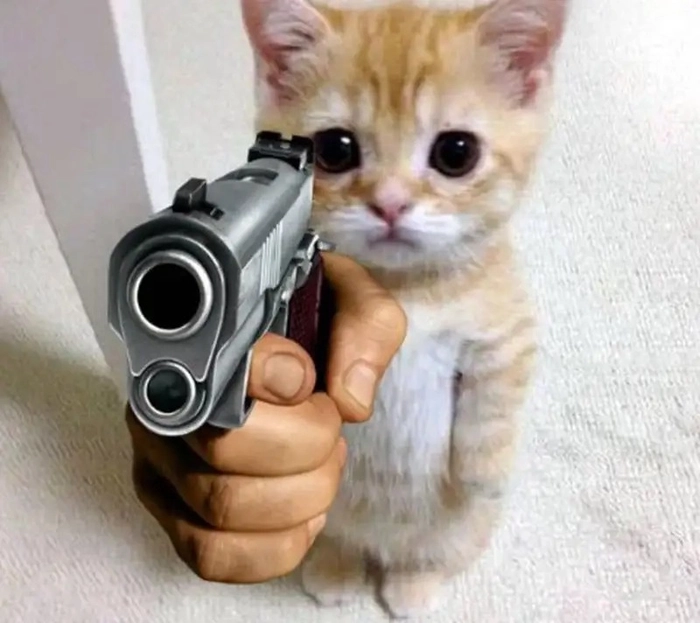 Ngầu meme siêu bá đạo