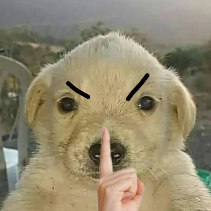 Nín meme bá đạo chất lượng