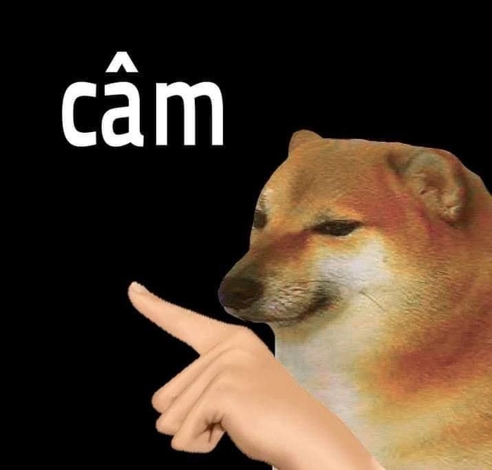 Nín meme chế hài ngộ nghĩnh