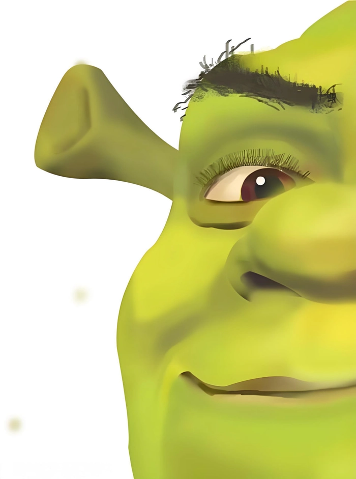 Shrek meme hài hước siêu vui