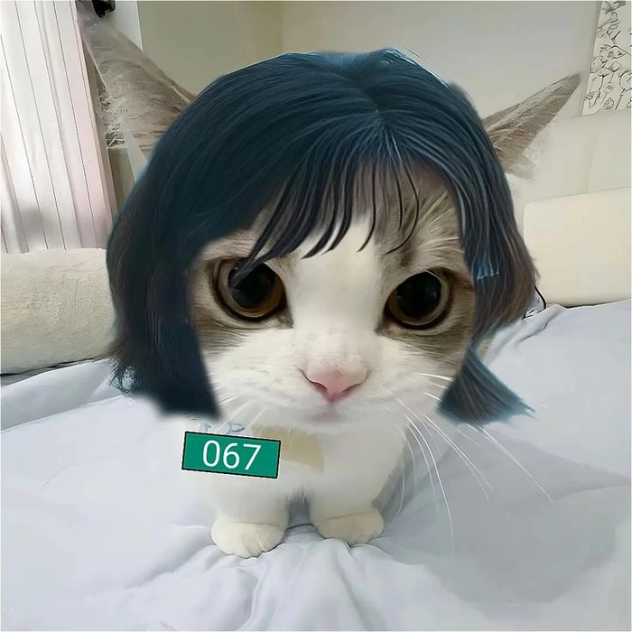 Squid Game 456 meme cực hot