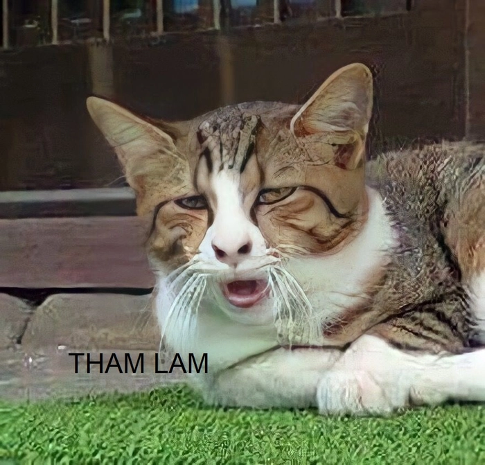 Tham lam meme ngắn gọn bá đạo