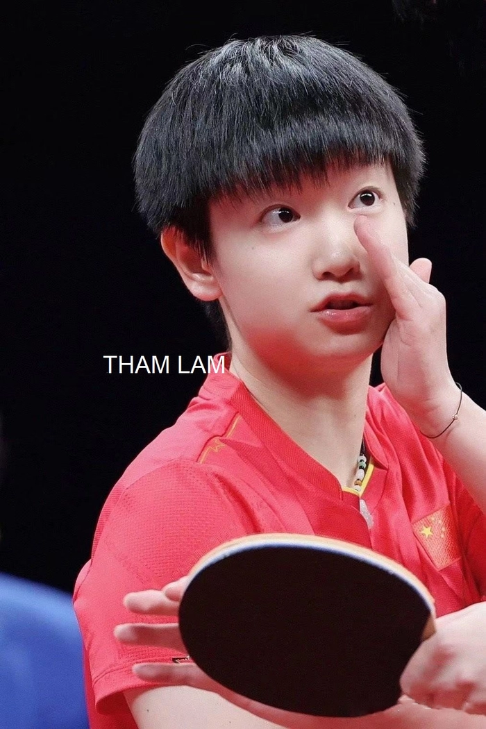 Tham lam ngu dốt meme cười xỉu